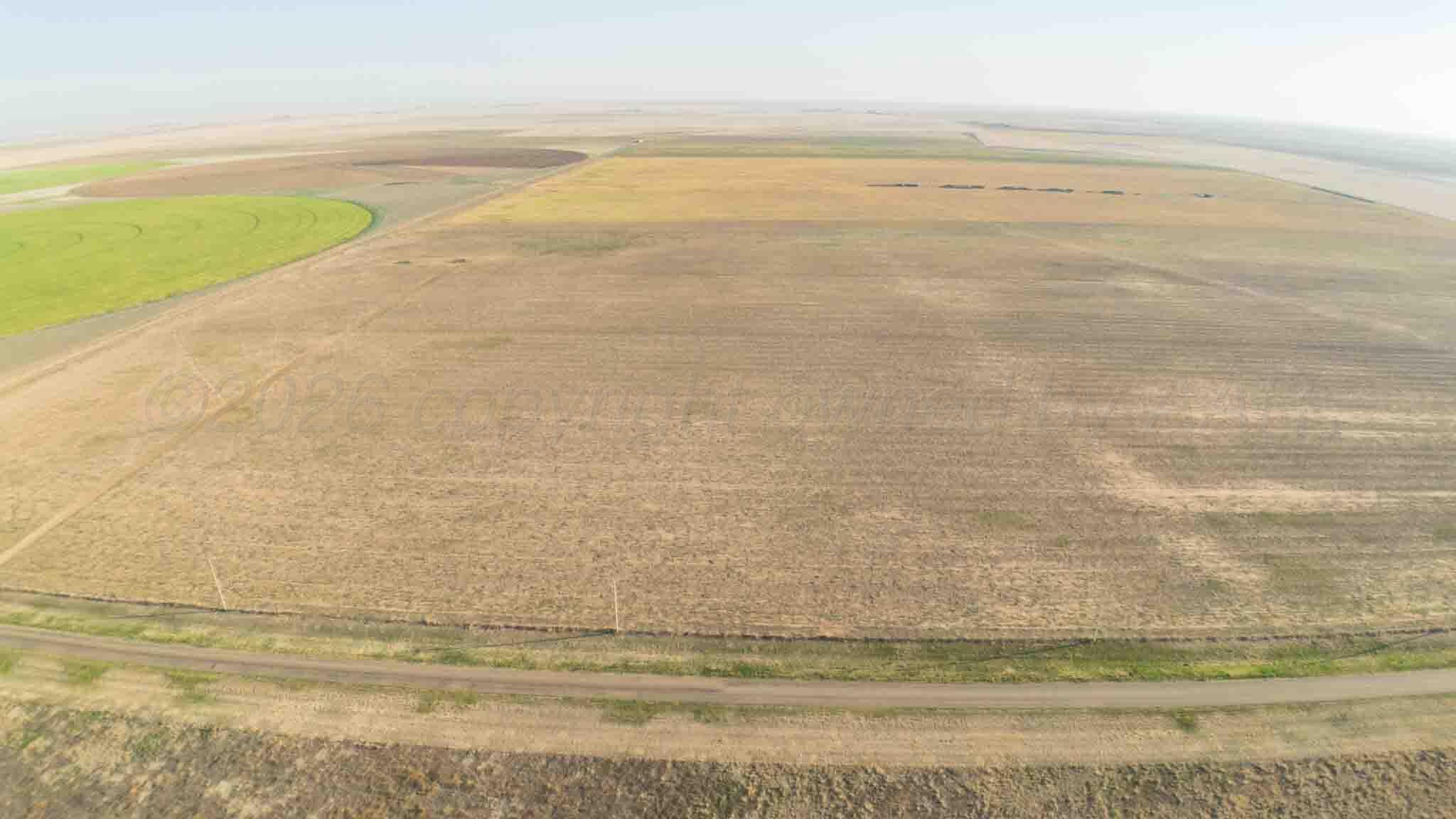 Baskin Ranch Stratford, TX 79084 - Photo 24 of 81 Baskin_Ranch-38