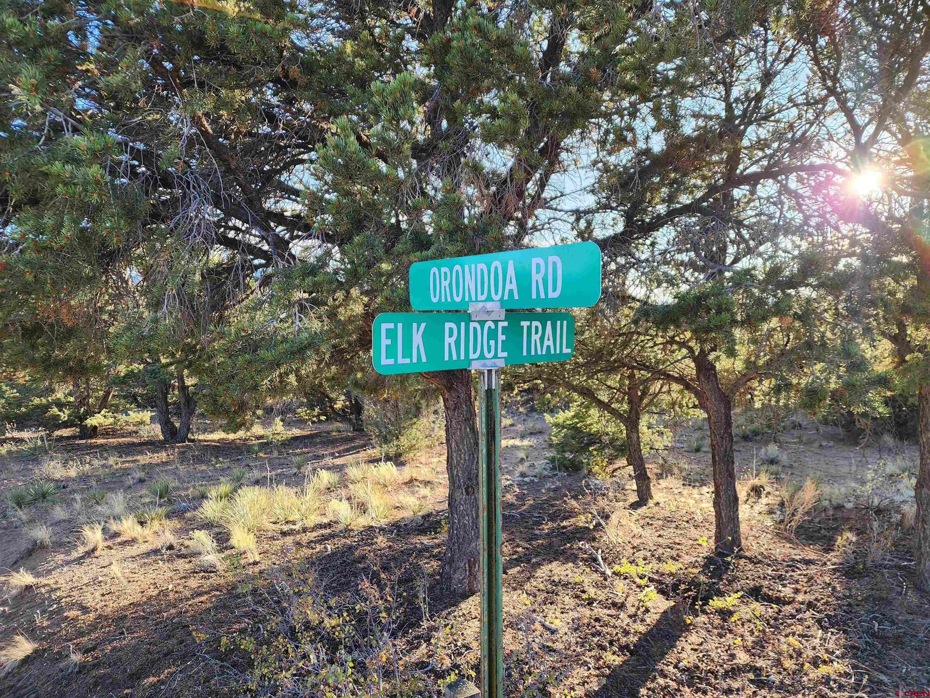 580 Kit Carson Road South Fork, CO 81154 - Photo 2 of 7 a street sign on a sidewalk next to a road