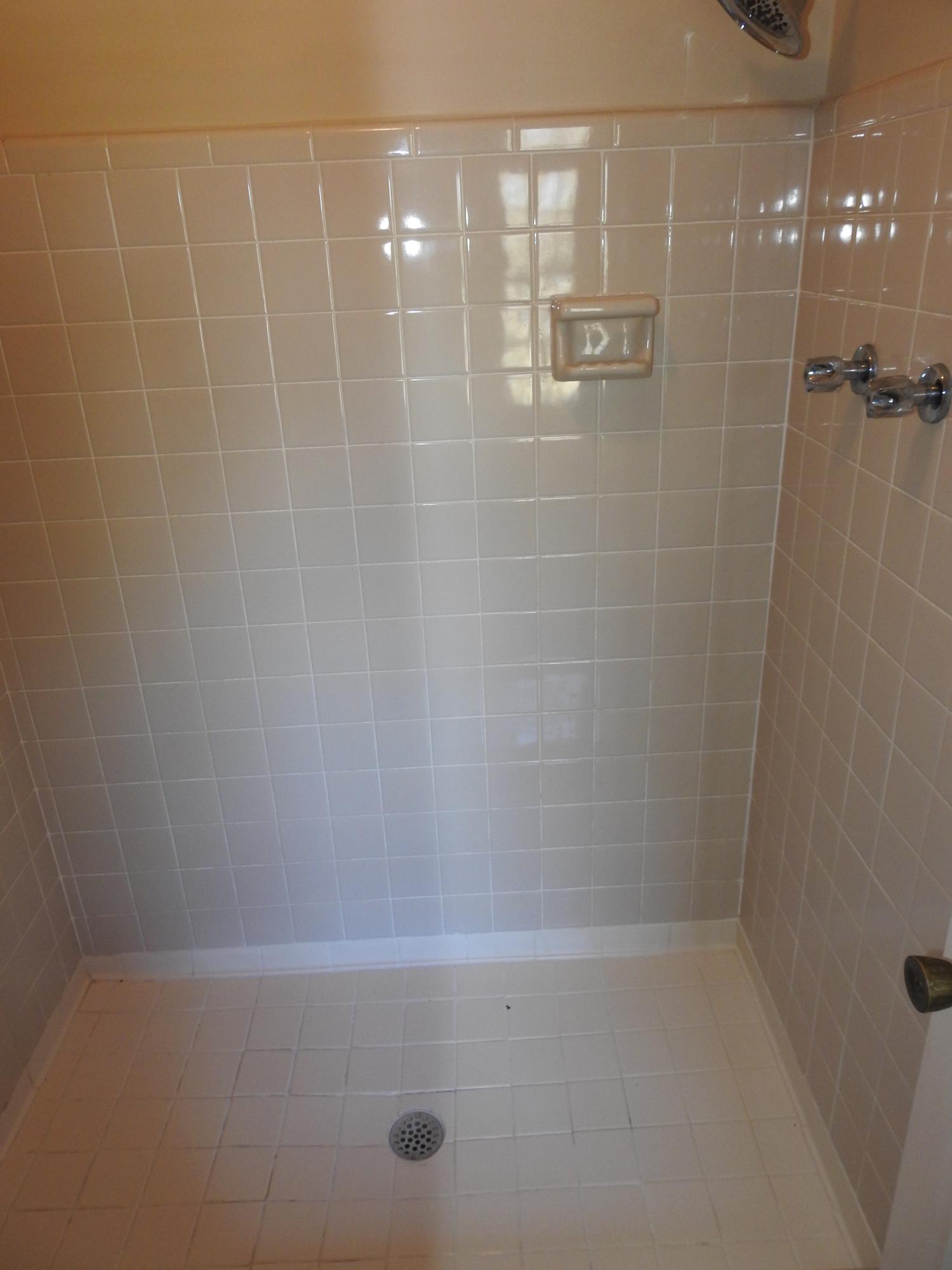 1121 Kilarney Road Mount Pleasant, SC 29464 - Photo 14 of 19 shower