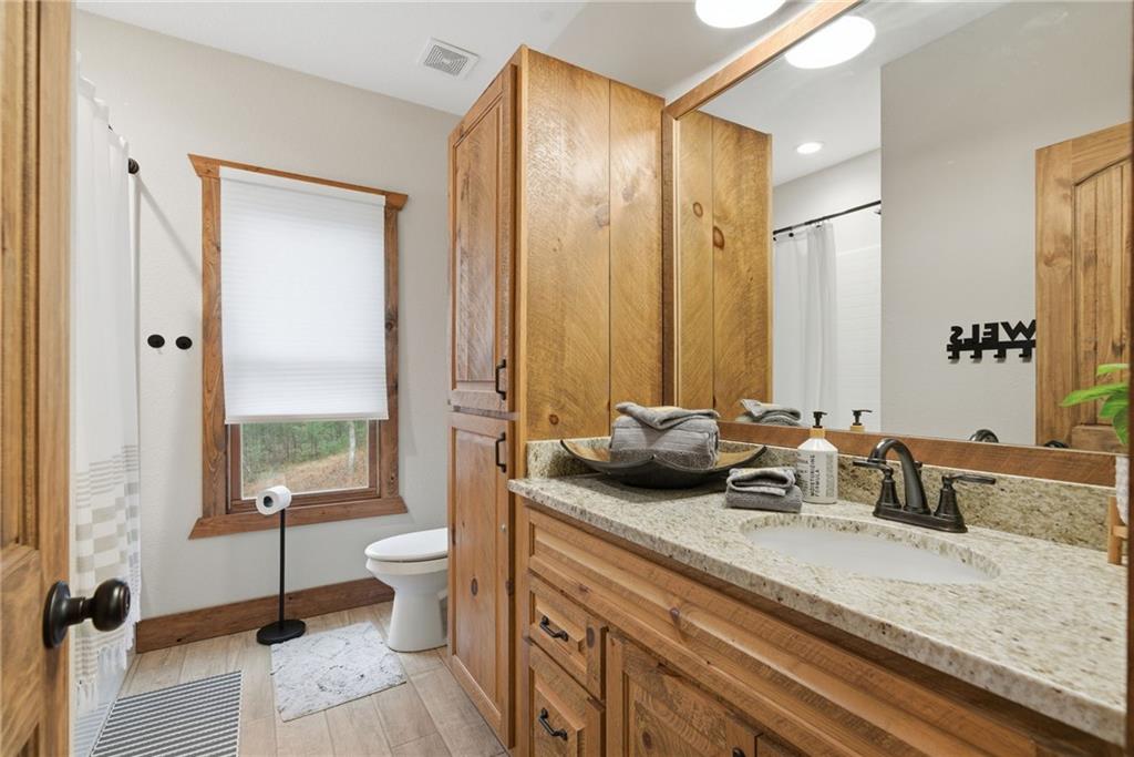 41 Bunks Way Morganton, GA 30560 - Photo 19 of 33 a bathroom with a granite countertop sink a toilet and a large mirror