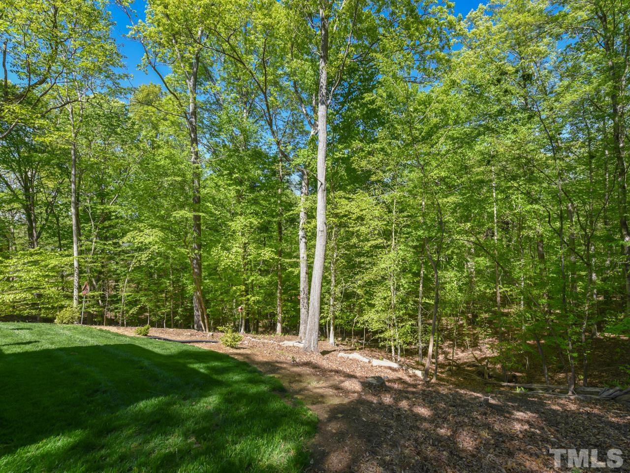 5820 Orchid Valley Road Raleigh, NC 27613 - Photo 28 of 31 a view of a yard with a tree