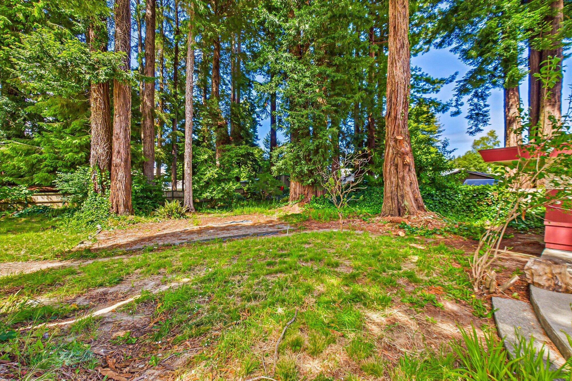 4949 Herron Road Cutten, CA 95503 - Photo 48 of 58