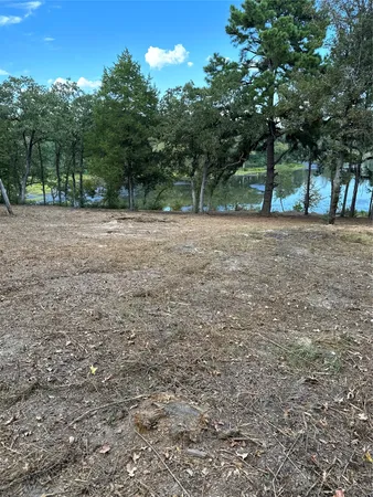 a view of outdoor space with trees
