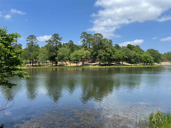 a view of a lake with a city