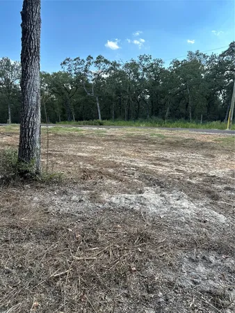 a view of outdoor space with trees all around