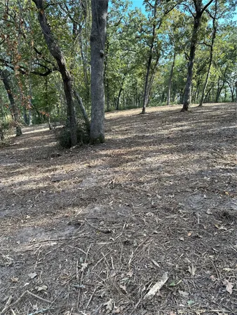 a view of outdoor space with trees