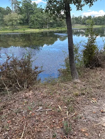 a view of a lake with a yard and large trees