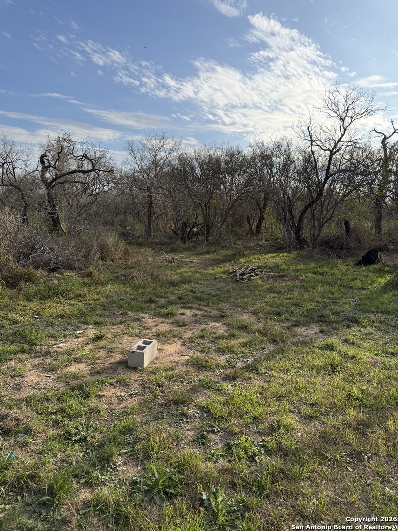 0 Wildhorse Pass Marion, TX 78152 - Photo 11 of 17 a view of a yard with an trees