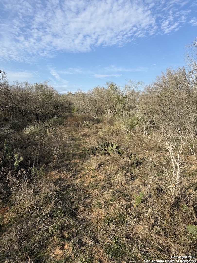 0 Wildhorse Pass Marion, TX 78152 - Photo 13 of 17 a view of a with green field
