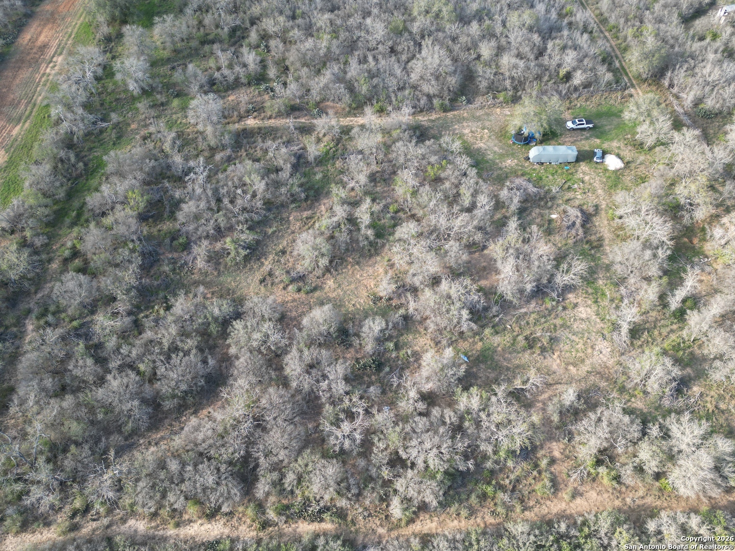 0 Wildhorse Pass Marion, TX 78152 - Photo 2 of 17 a close up of a tree