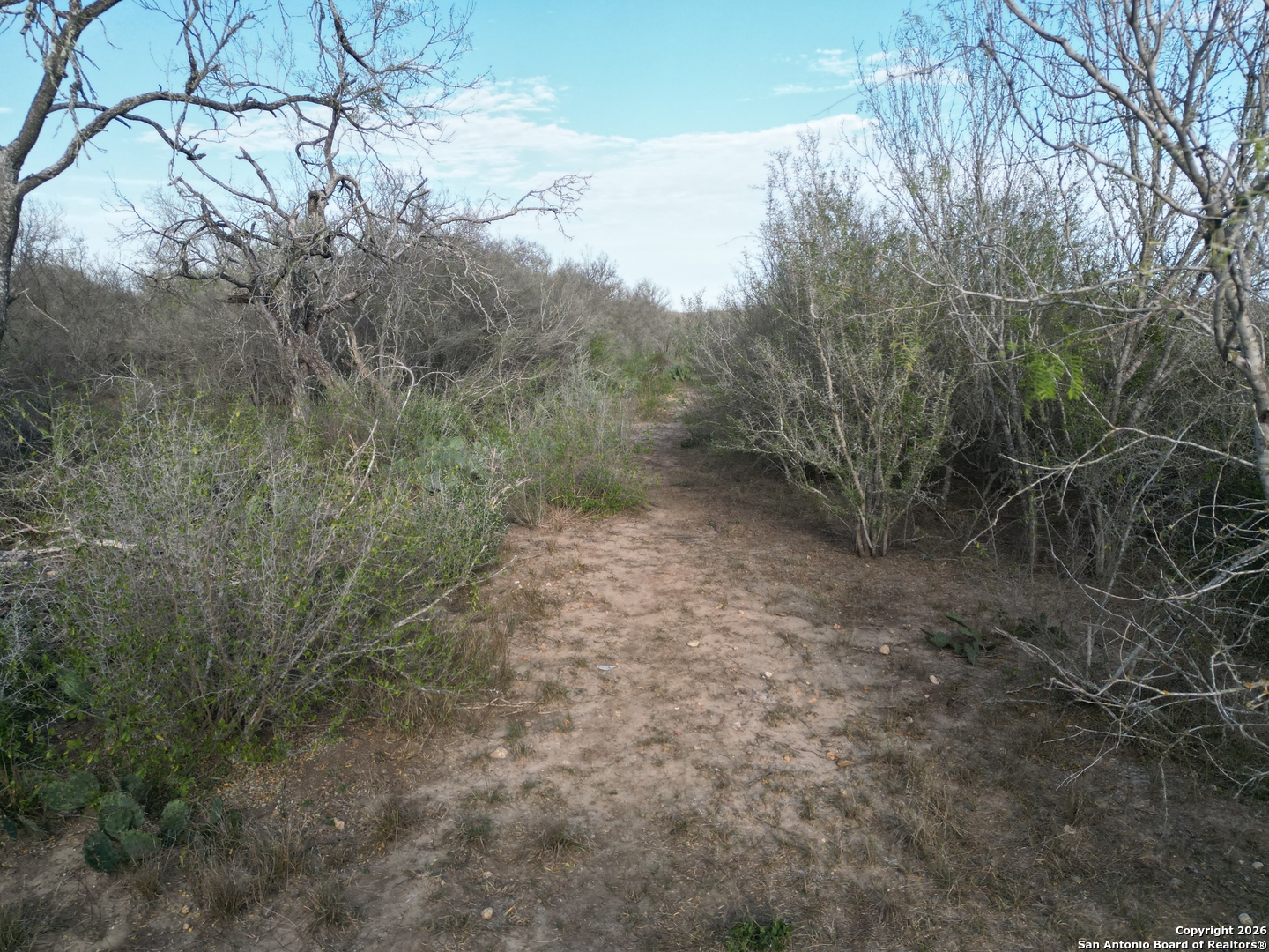 0 Wildhorse Pass Marion, TX 78152 - Photo 4 of 17 a view of a yard with large trees