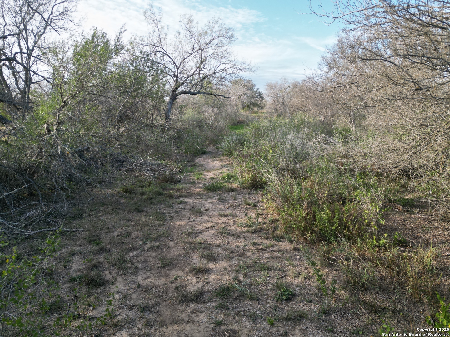 0 Wildhorse Pass Marion, TX 78152 - Photo 5 of 17 a view of a forest with trees in the background