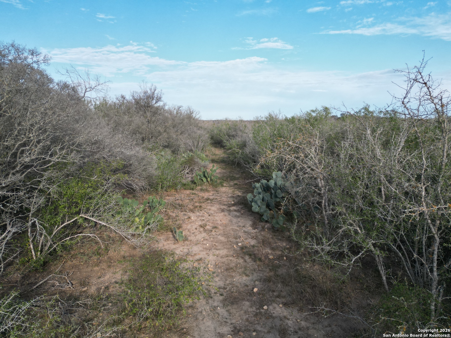 0 Wildhorse Pass Marion, TX 78152 - Photo 6 of 17 a view of a yard with wooden fence