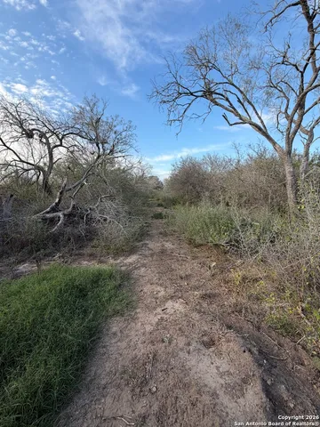 a view of a yard with a tree