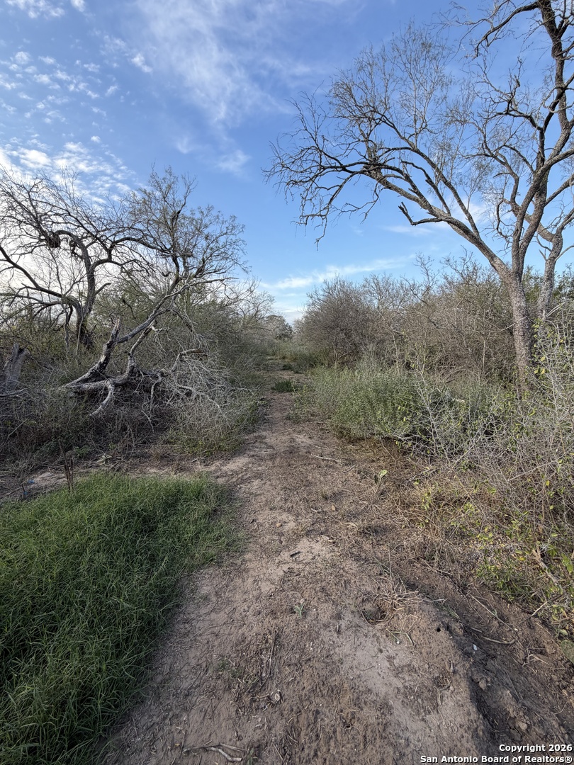 0 Wildhorse Pass Marion, TX 78152 - Photo 7 of 17 a view of a yard with a tree