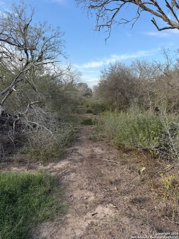 a view of a yard with an trees
