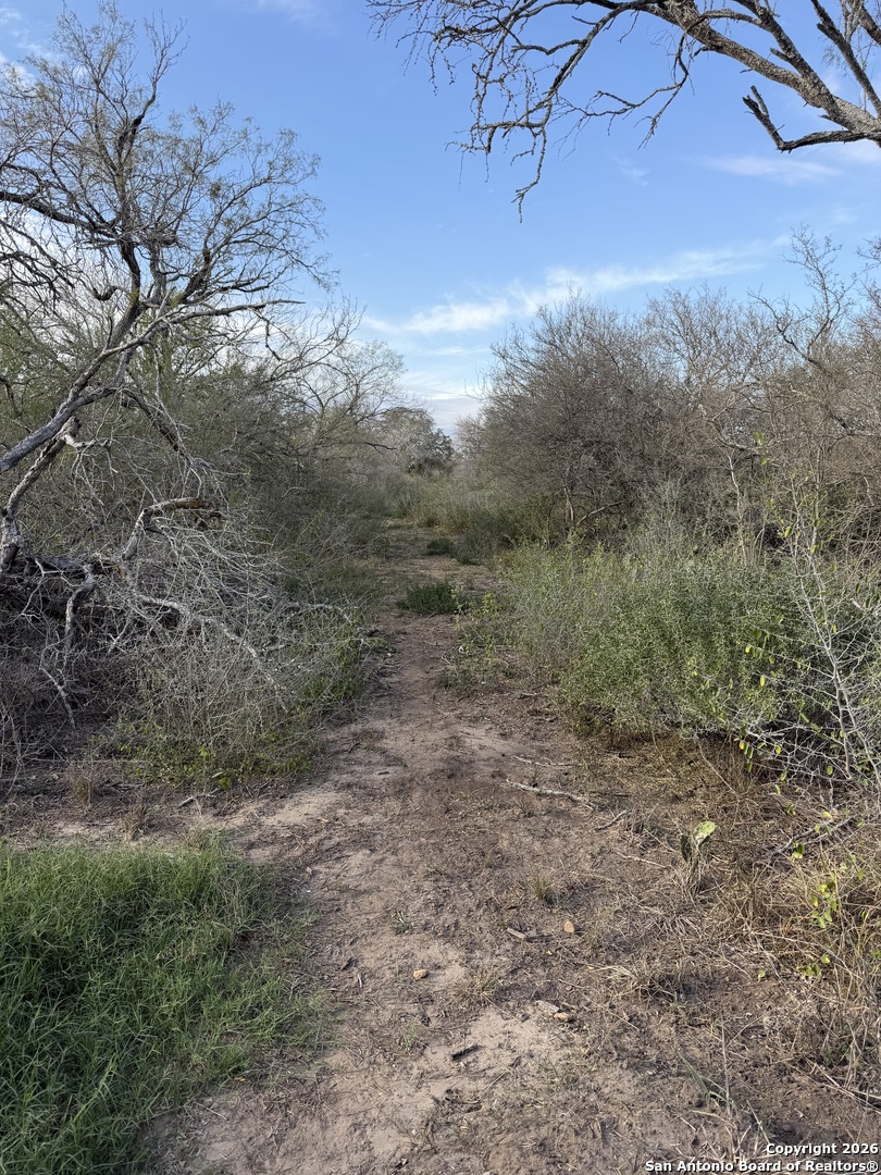 0 Wildhorse Pass Marion, TX 78152 - Photo 8 of 17