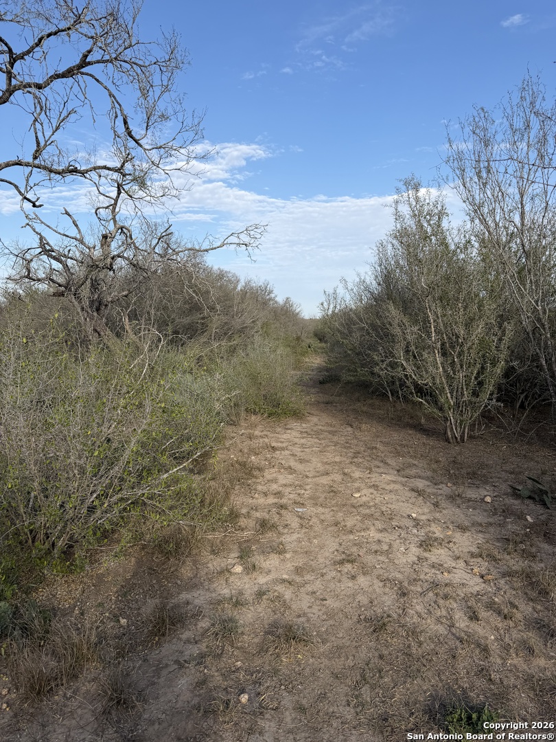 0 Wildhorse Pass Marion, TX 78152 - Photo 9 of 17 a view of a yard with an trees