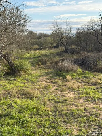 a view of a yard with an trees