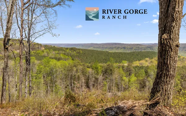 $550,000 | Lot 2225 High Ground Road, Guild, TN 37340