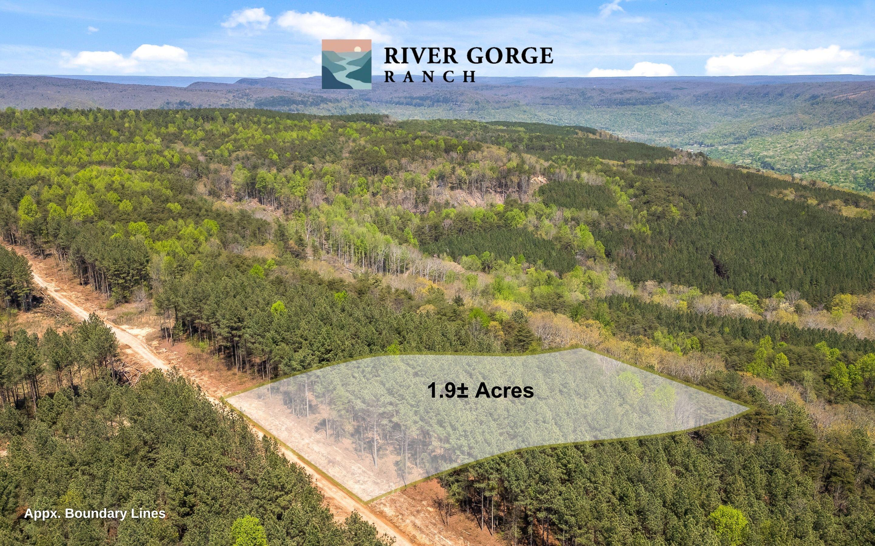 Lot 2225 High Ground Road Guild, TN 37340 - Photo 2 of 23 Lot 2225 High Ground Road