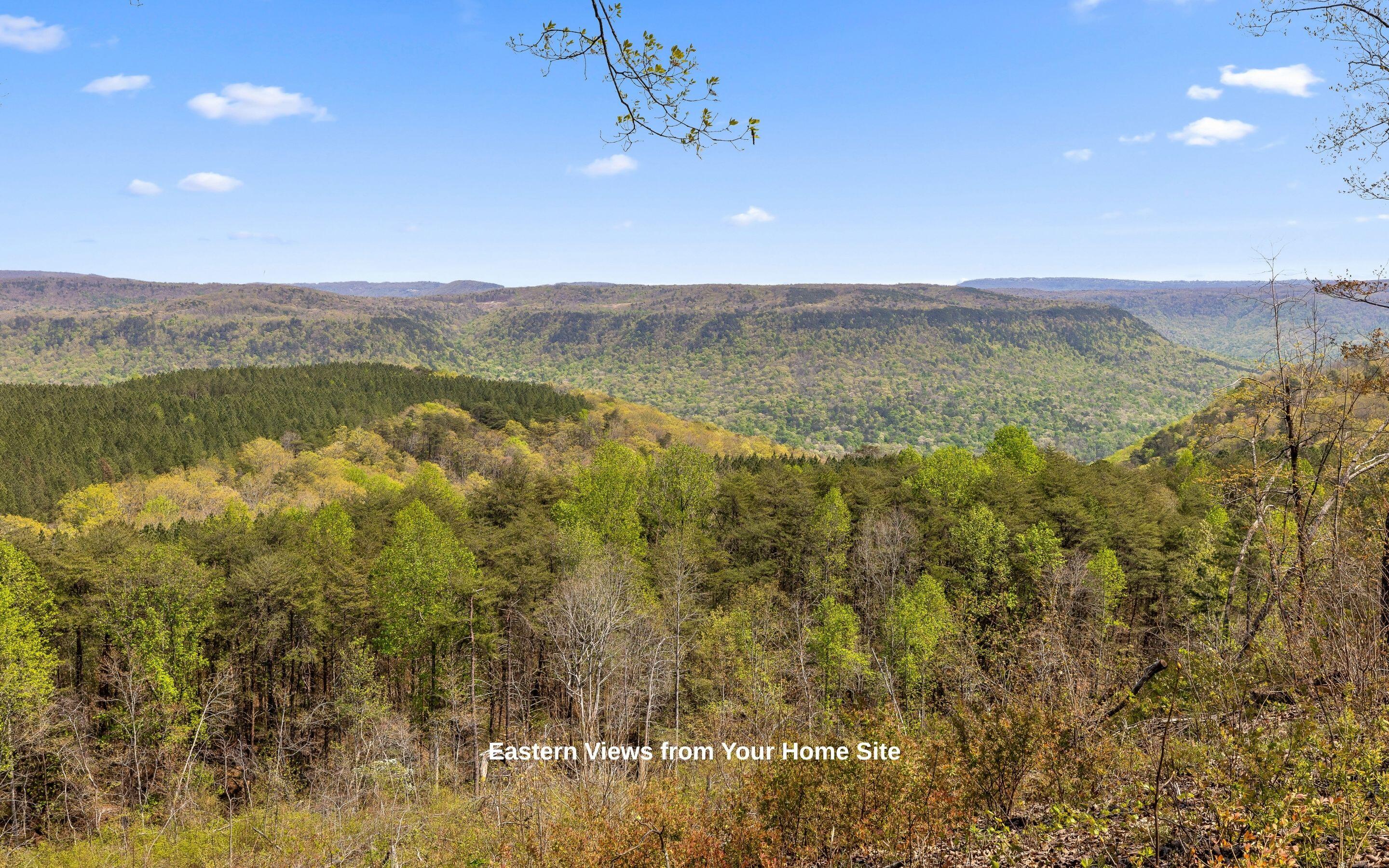 Lot 2225 High Ground Road Guild, TN 37340 - Photo 3 of 23 Lot 2225 High Ground Road