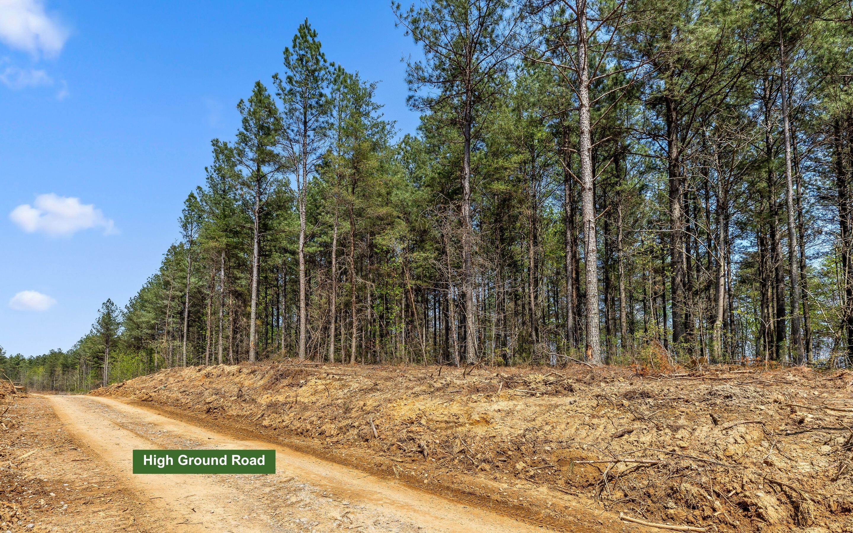 Lot 2225 High Ground Road Guild, TN 37340 - Photo 9 of 23 Lot 2225 High Ground Road