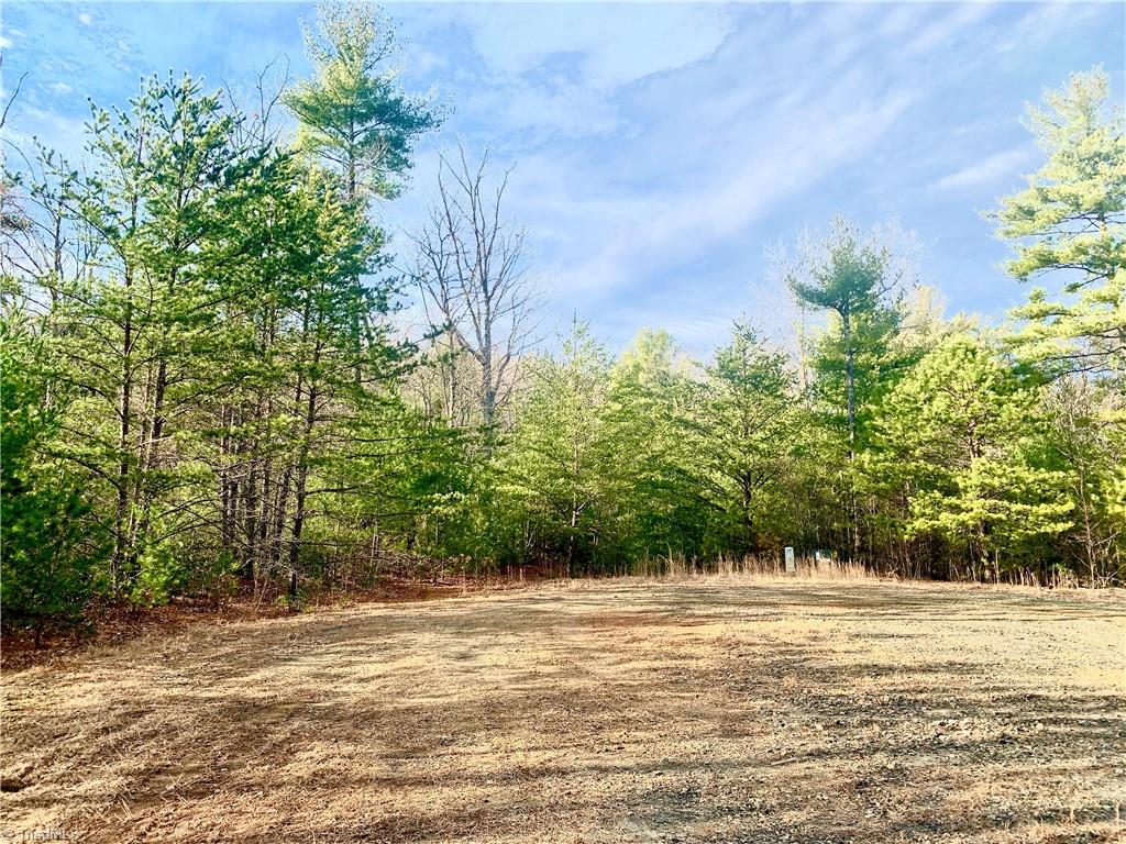 Lot 123 Pepper Bush Road Purlear, NC 28665 - Photo 1 of 7