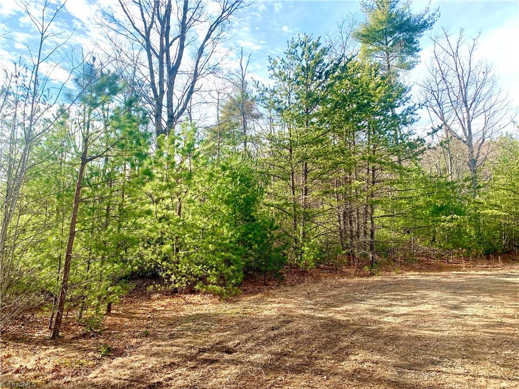 Lot 123 Pepper Bush Road Purlear, NC 28665 - Photo 2 of 7
