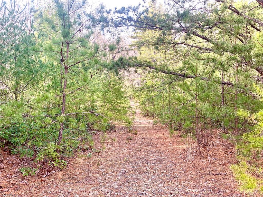Lot 123 Pepper Bush Road Purlear, NC 28665 - Photo 3 of 7