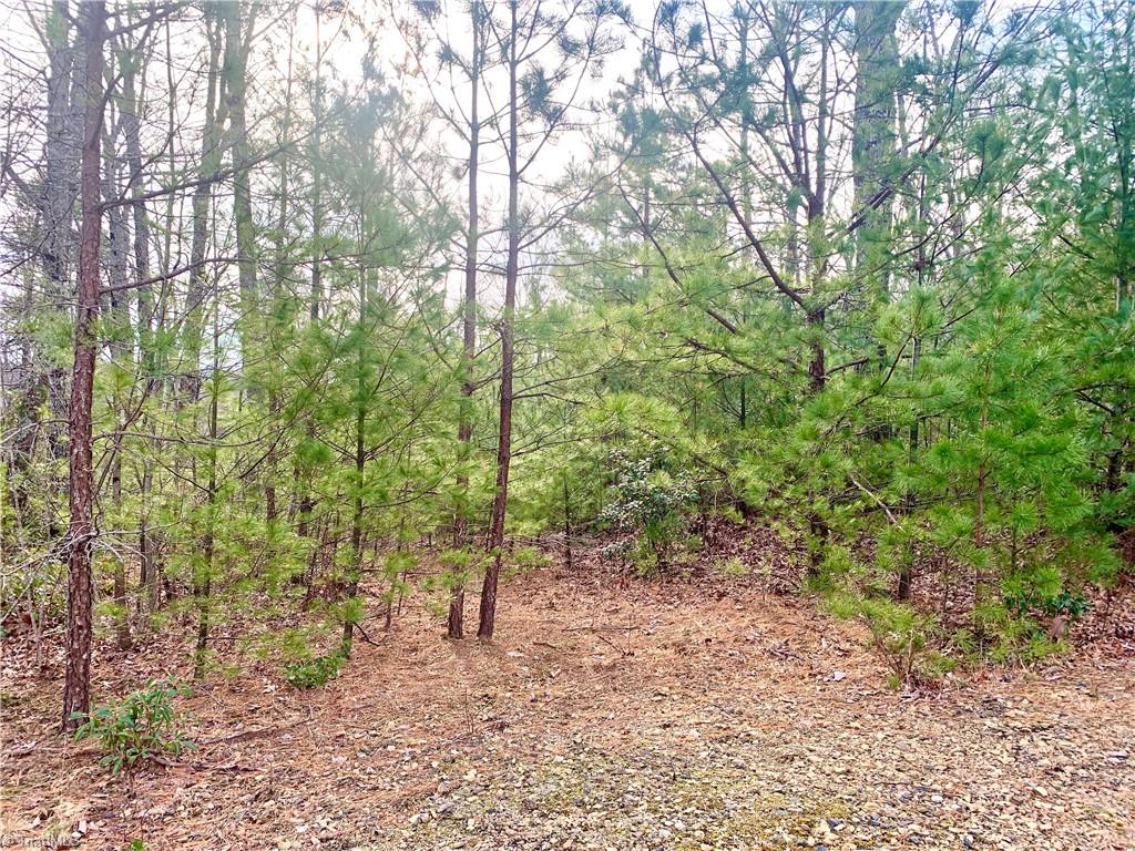 Lot 123 Pepper Bush Road Purlear, NC 28665 - Photo 4 of 7