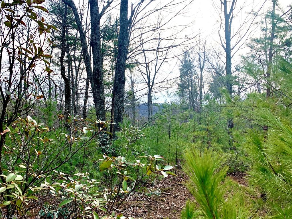 Lot 123 Pepper Bush Road Purlear, NC 28665 - Photo 6 of 7