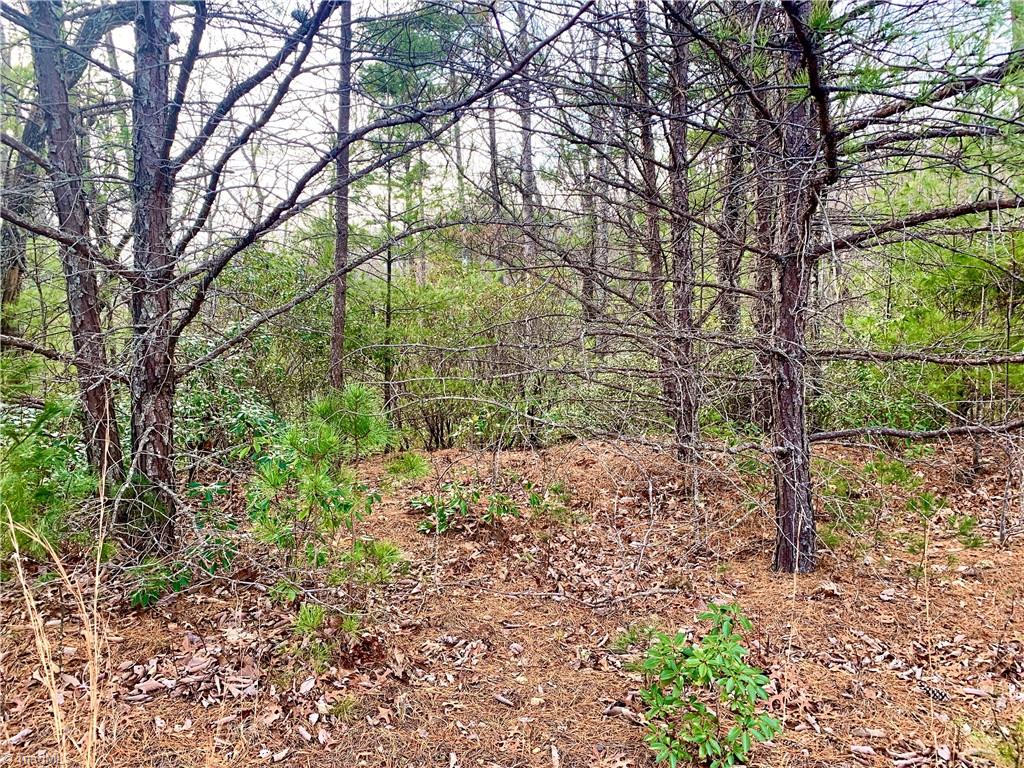 Lot 123 Pepper Bush Road Purlear, NC 28665 - Photo 7 of 7