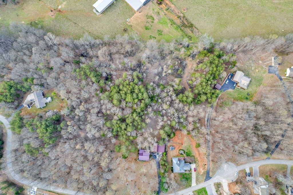 465 Hickory Lane Sparta, TN 38583 - Photo 15 of 46 a view of a yard with plants