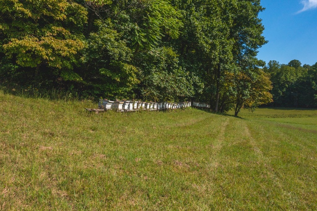 3607 Lone Ivy Road Stuart, VA 24171 - Photo 15 of 36 Gallery Image 15