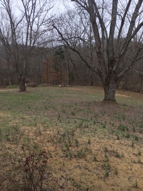 2586 Sunfish Bee Spring Road Brownsville, KY 42210 - Photo 7 of 19 Gallery Image 7
