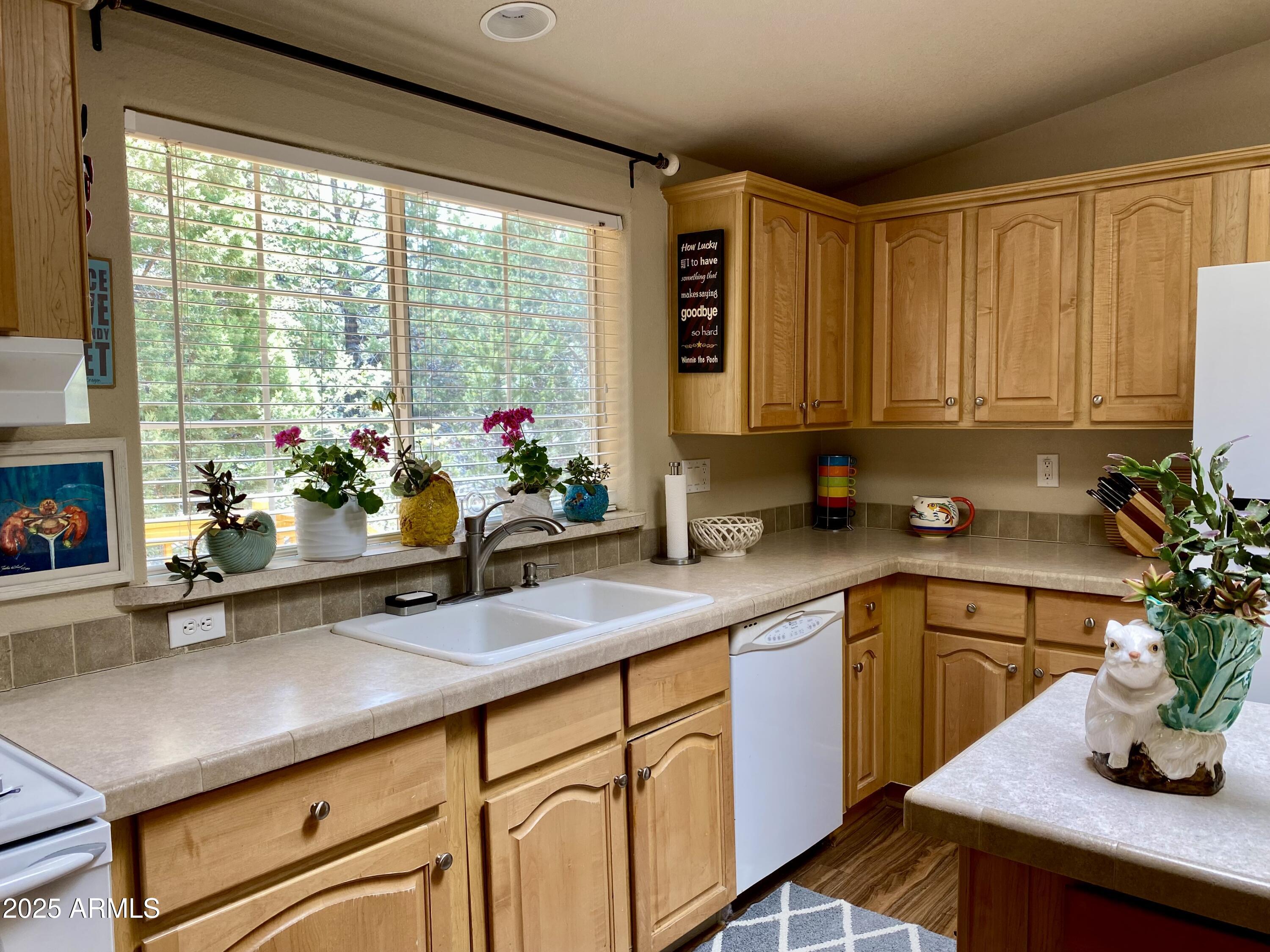 181 Timber Ridge Loop Show Low, AZ 85901 - Photo 20 of 57 Gas double oven and large bright window
