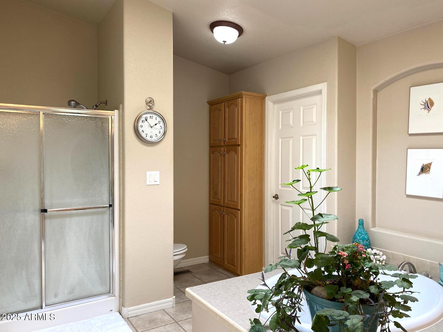 181 Timber Ridge Loop Show Low, AZ 85901 - Photo 31 of 57 IMG_8711 (2)