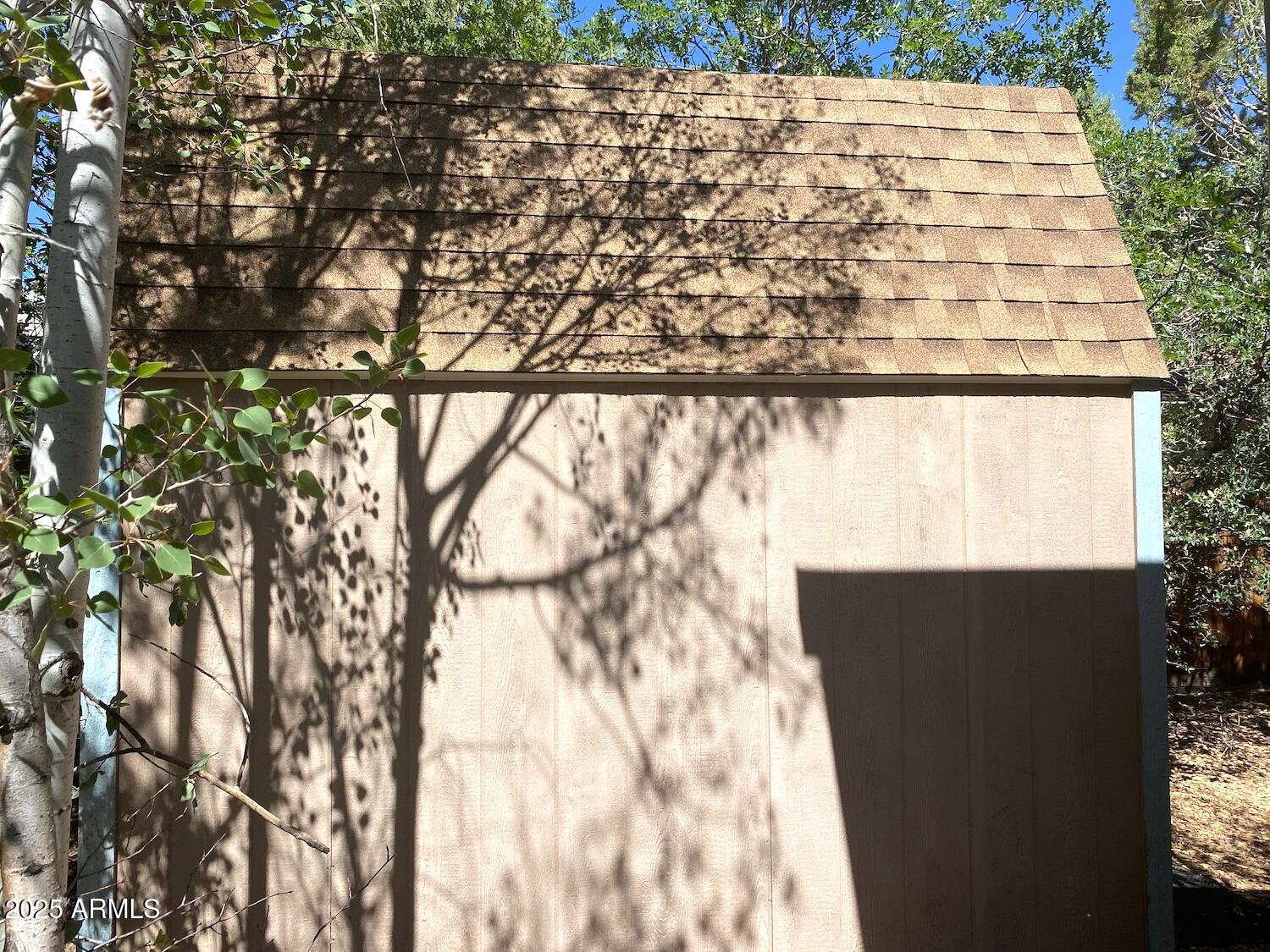 181 Timber Ridge Loop Show Low, AZ 85901 - Photo 49 of 57 Side of shed