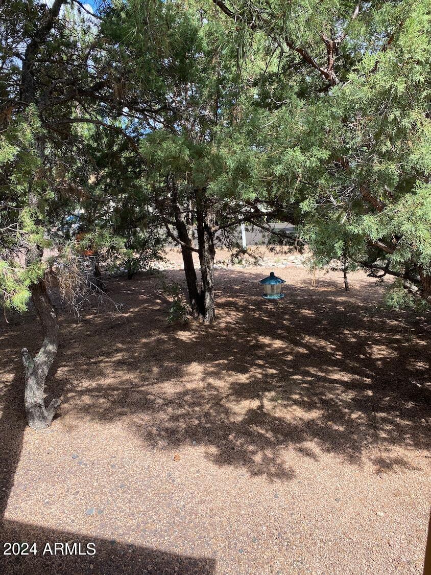 181 Timber Ridge Loop Show Low, AZ 85901 - Photo 51 of 57 View from porch of front yard