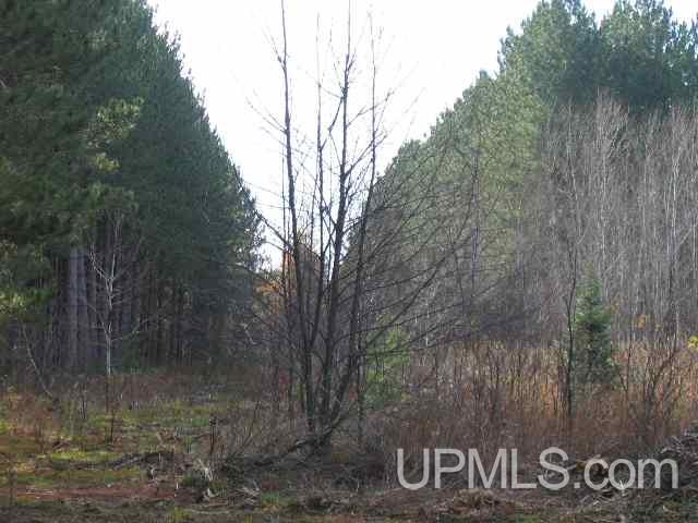 Tbd Ruonavaara Road Lake Linden, MI 49945 - Photo 29 of 32 Gallery Image 29