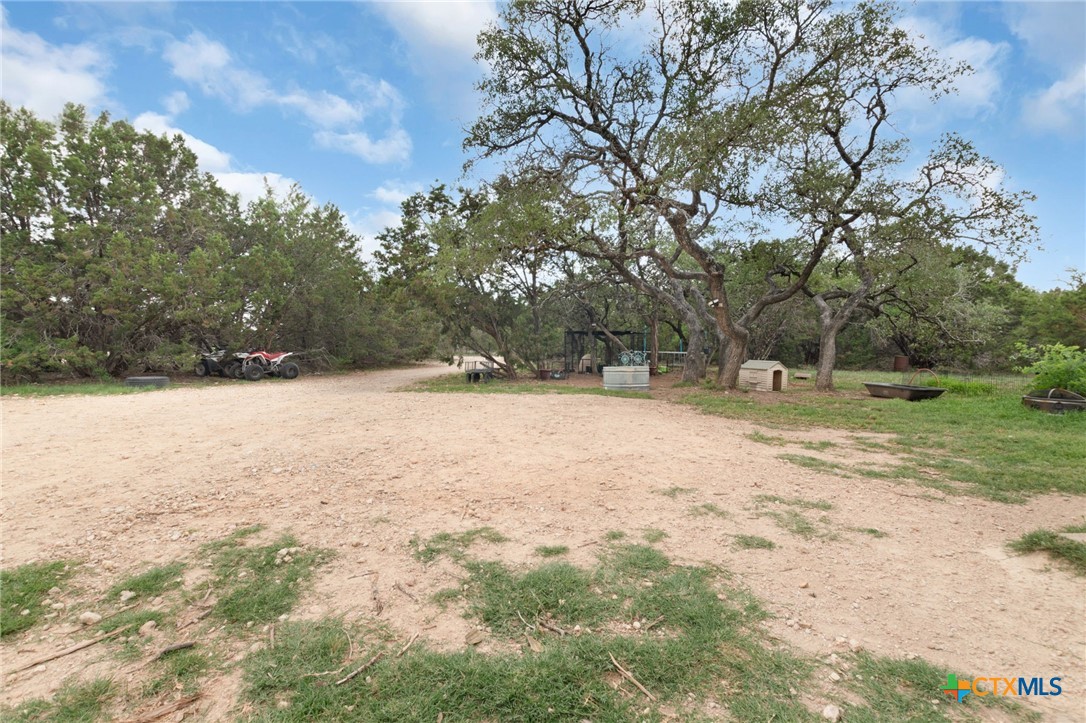 411 Private Road 3447 Kempner, TX 76539 - Photo 29 of 33 a view of yard with trees