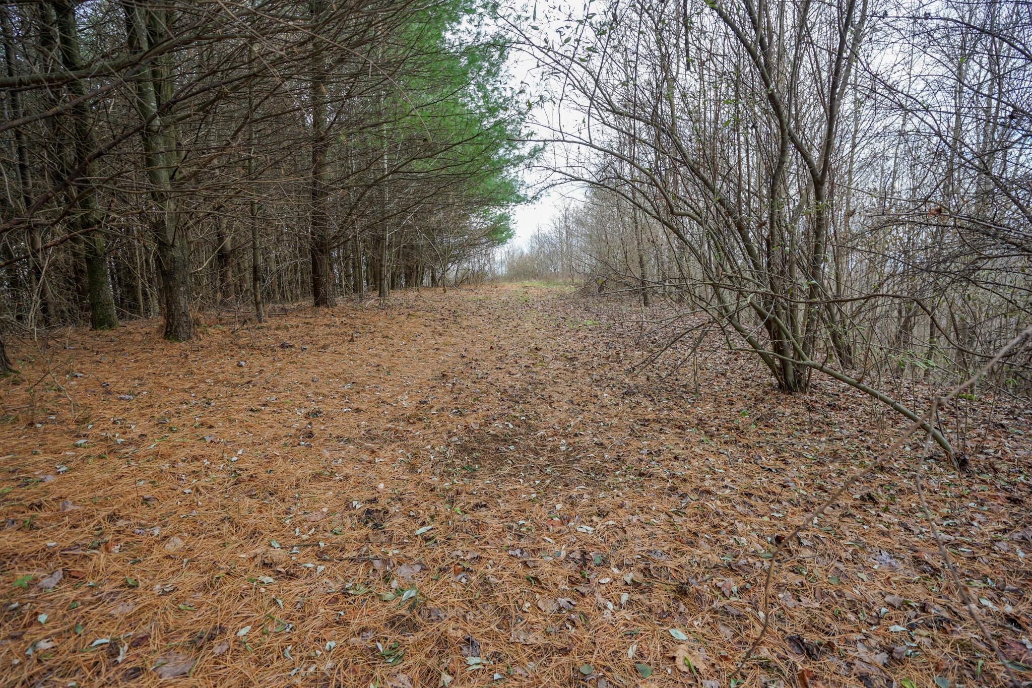 0 Fogle Road Caldwell, OH 43724 - Photo 27 of 42 DSC09911