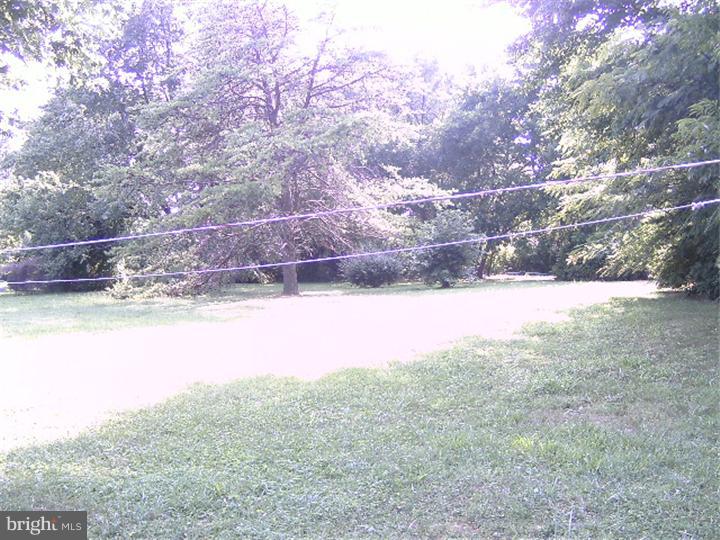 3330 Richard Road Aston, PA 19014 - Photo 16 of 18 Back Yard