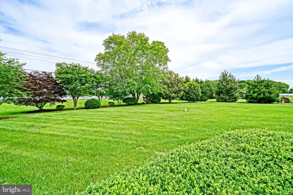 a view of a house with a big yard and large trees