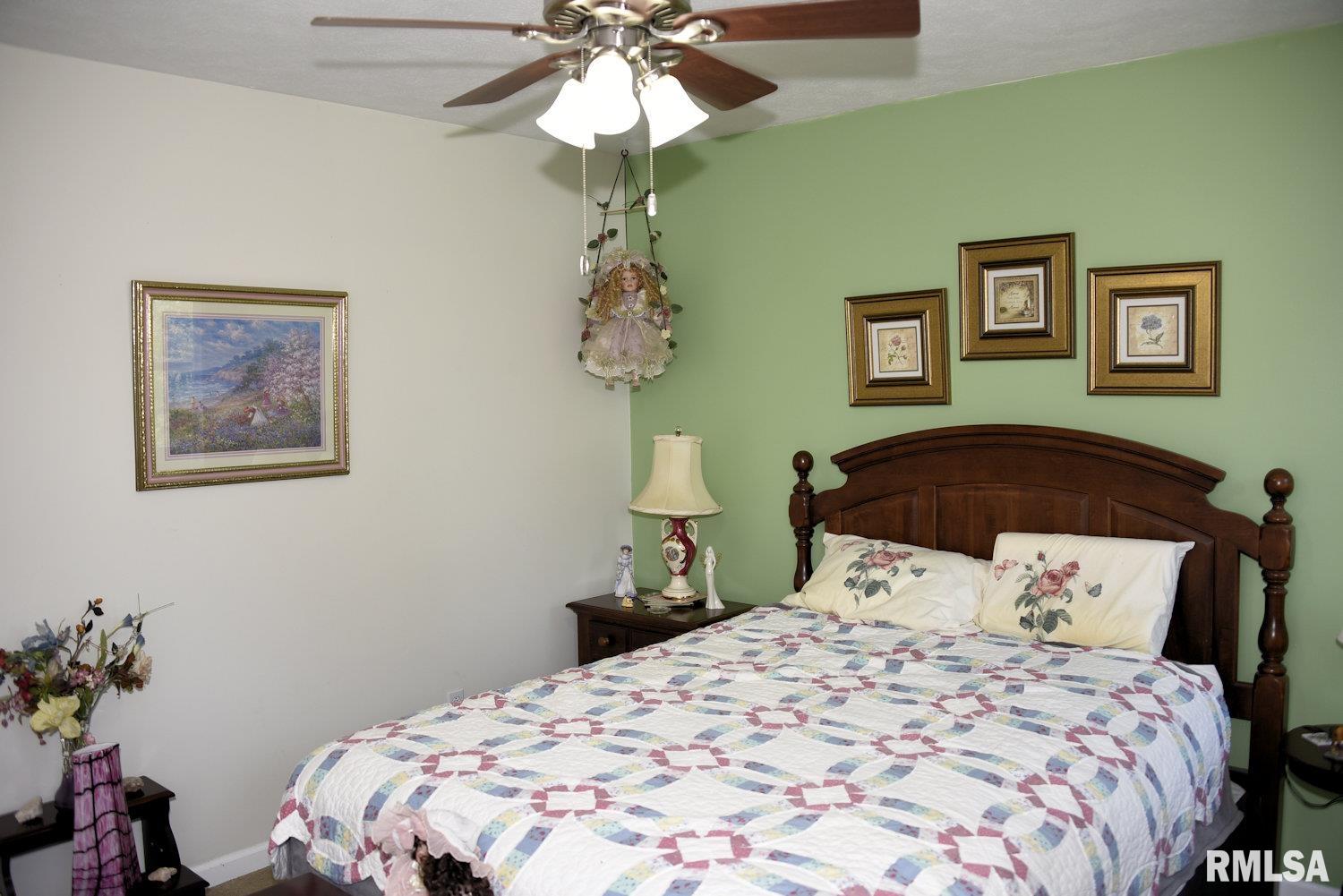 10790 Salisbury Road Pleasant Plains, IL 62677 - Photo 24 of 47 Gallery Image 24