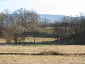 2070 Old Jonesboro Road Chuckey, TN 37641 - Photo 9 of 9 Photo 9