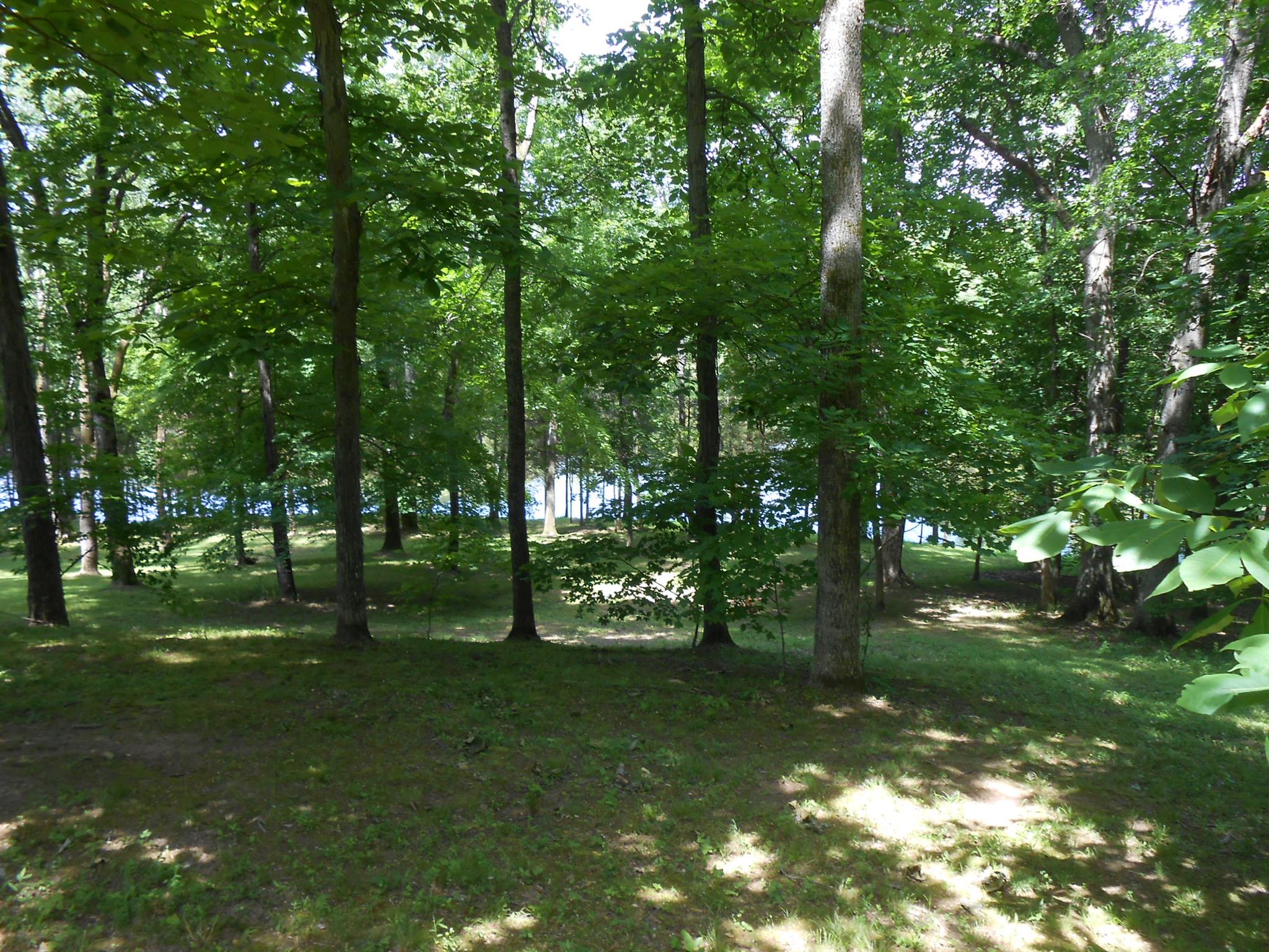 130 East Robertson Road Castalian Springs, TN 37031 - Photo 4 of 7 Gallery Image 4