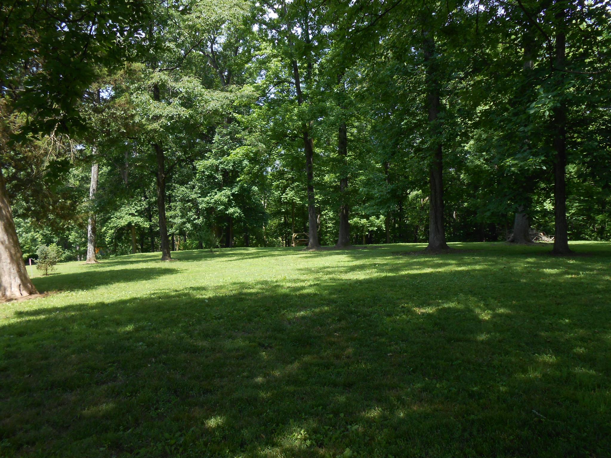 130 East Robertson Road Castalian Springs, TN 37031 - Photo 5 of 7 Gallery Image 5
