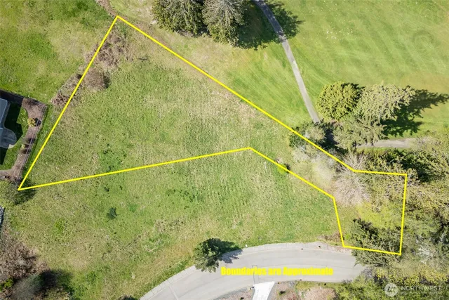 a view of a swimming pool with a yard